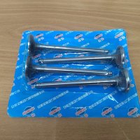 Впускной клапан ED480 / QC480 (Комплект на двигатель 4шт)